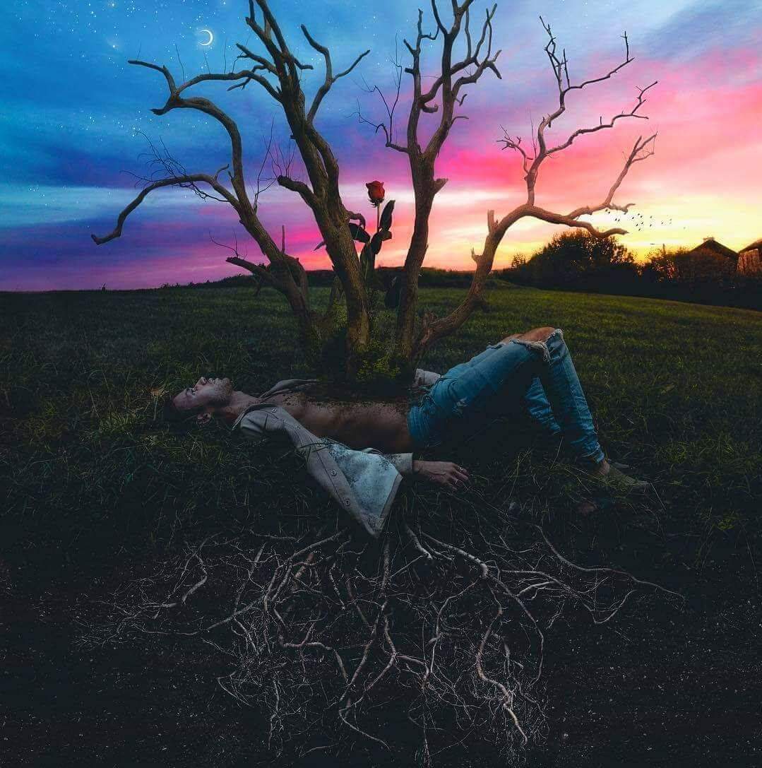 FB_IMG_1563857793361