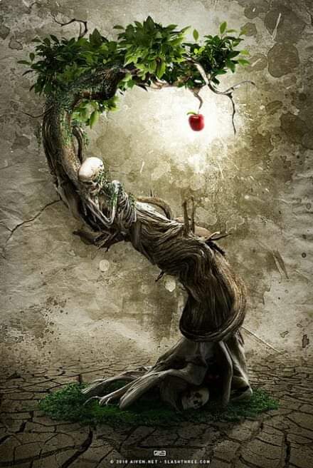 FB_IMG_1563890416224