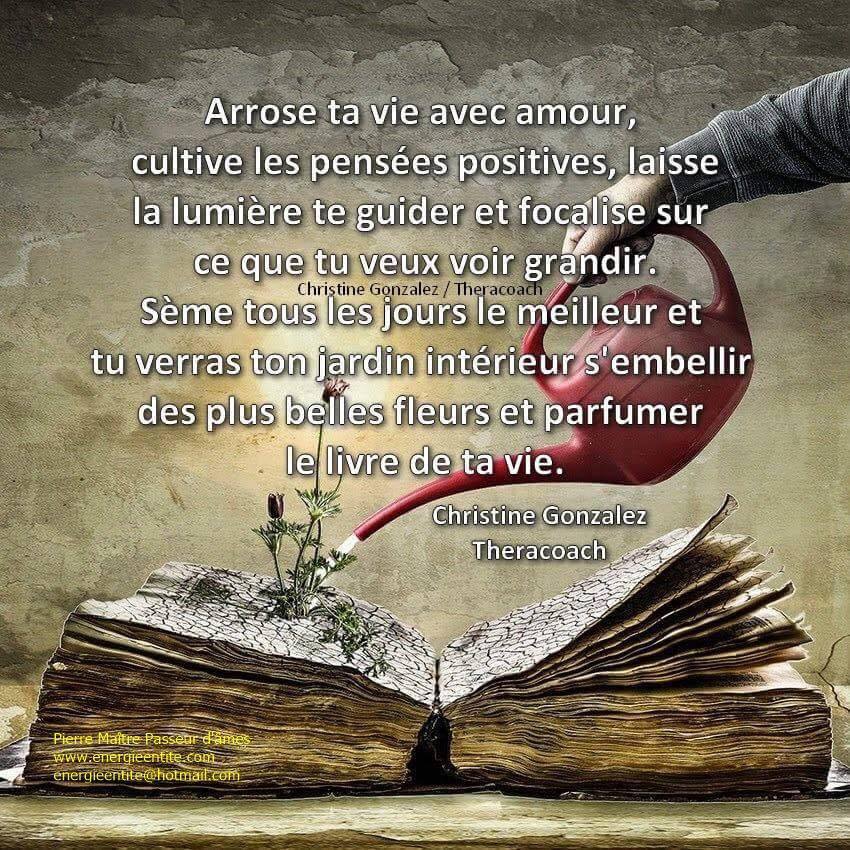 17155209_1442380752501175_1470616439971121381_n