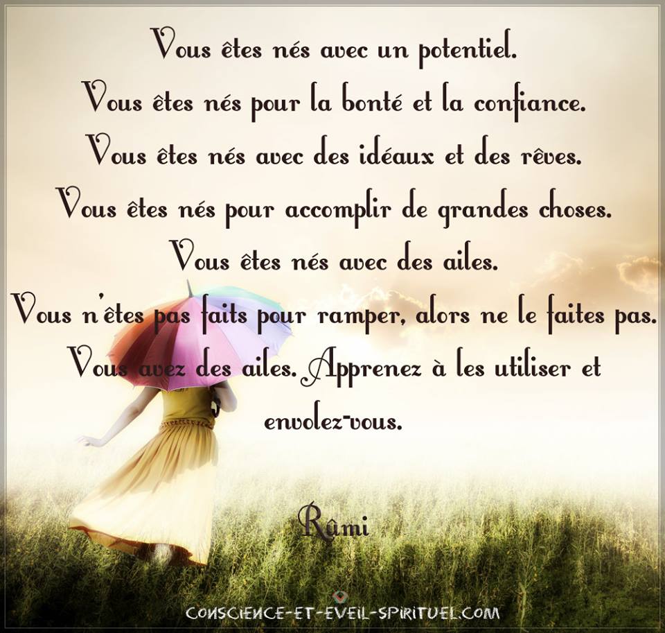 32116578_1539515622841679_1407149573863899136_n