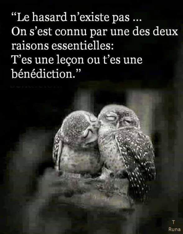 55882089_404670843443298_5219552830024581120_n