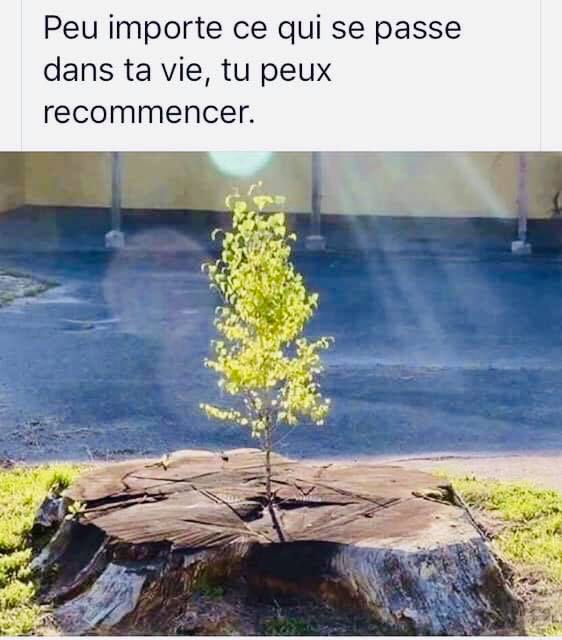 56337107_1470983969699774_9121565162862542848_n